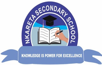 Nkareta Secondary School Logo